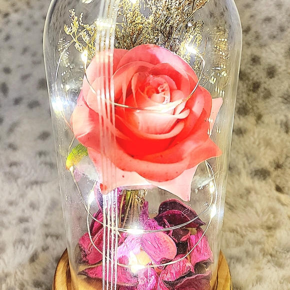 Silk Rose real preserved rose petals with Led Light String batteries Included - Picture 16 of 16